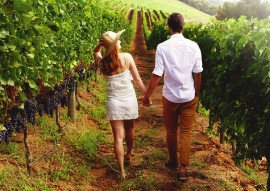 A romantic holiday in the middle of the vineyards photo